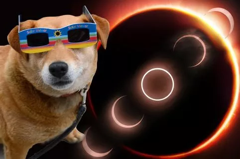 eclipse-main.jpg