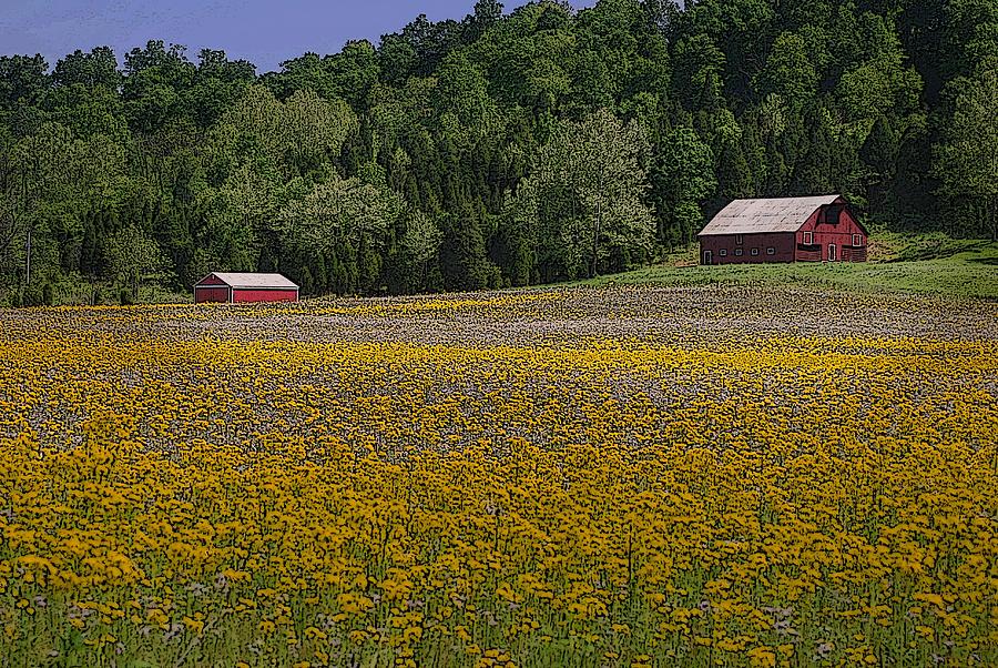 spring-mustard-and-barns-rick-decroes.jpg
