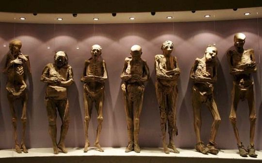 mexican+mummies+bizarre+museum+of+death.jpg