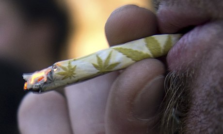 Uruguay-cannabis-011.jpg