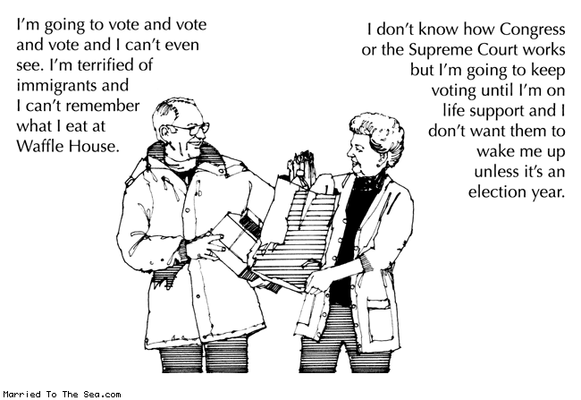 vote-and-vote-and-vote.gif
