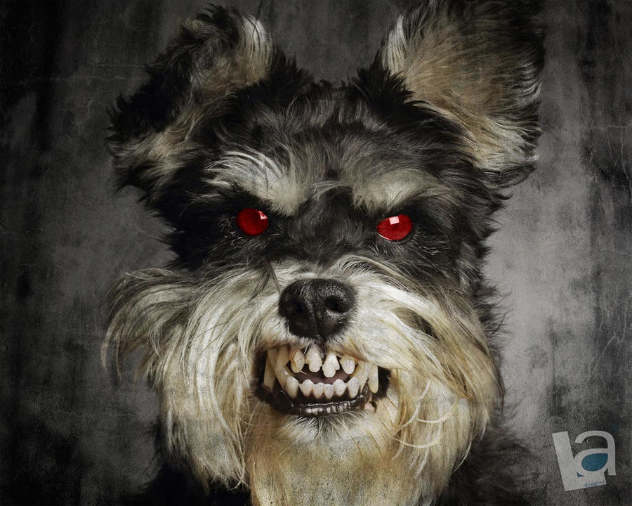 Evil_Dog_by_LucasArgenta.jpg