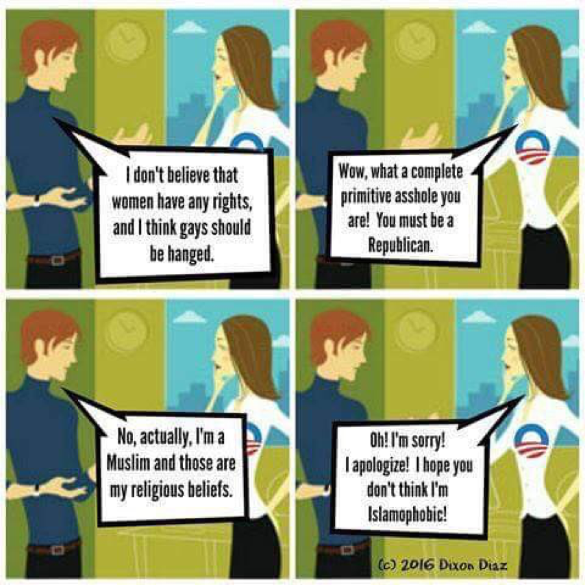 liberal-logis-gays-mulim-islamophobia-graphic.png
