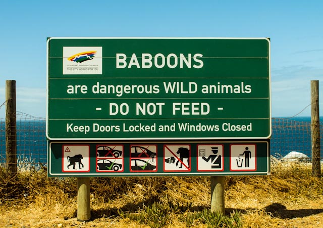 SA+Roadsign+Baboons+Dangerous.jpg