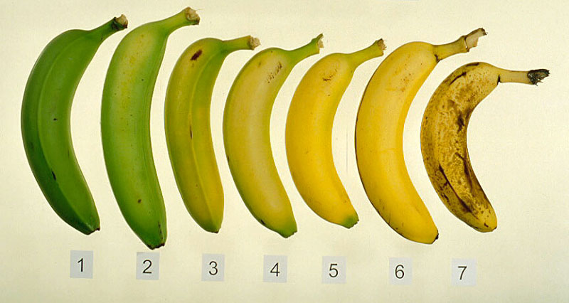 difference-between-ripe-and-unripe-fruits_2.jpg
