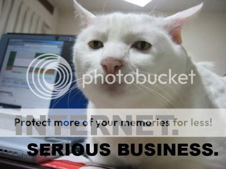 internet-serious-business-cat-thumb.jpg