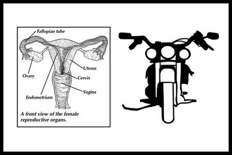 vagina_motorcycle.jpg
