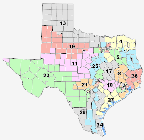 2012-Texas-Congressional-map.png