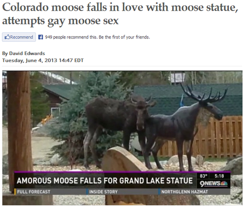 The+plural+of+moose+should+be+meese_c21c4d_4705292.png